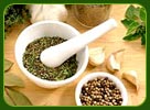 Ayurvedic Medicine