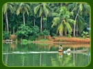 Alleppy/Alappuzha Backwaters