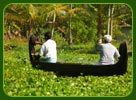 Canoeing in Backwaters, Kerala