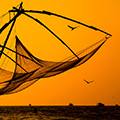 Chiniese Fishing Net