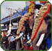Kerala Elephant Festival, India