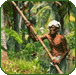 Kollam