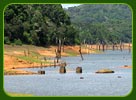 Periyar/Thekkady Lake