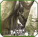 Wayanad