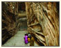Mumbai with Aurangabad Caves Tour
