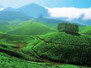Munnar Kerala